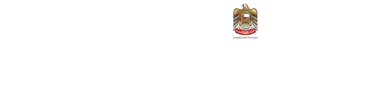 internal audit services dubai